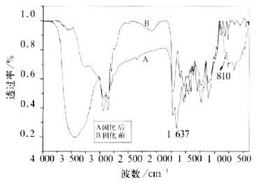 PUA/EA復合乳液UV固化前后的紅外譜圖
